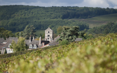 Vins de Bourgogne, une partie du patrimoine viticole français